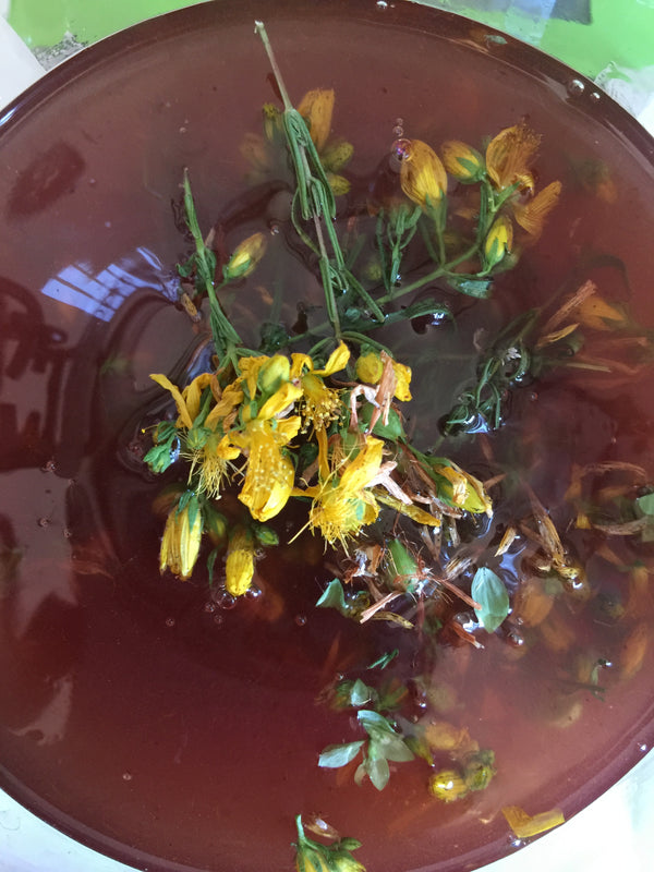 ST JOHNS WORT OIL INFUSION