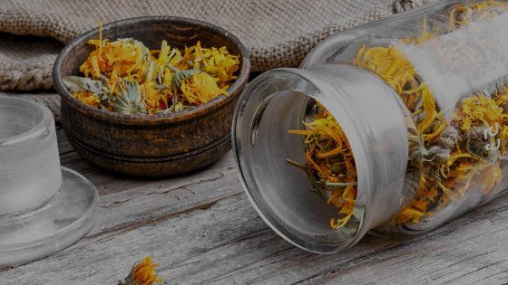 MAKE YOUR OWN CALENDULA INFUSED OIL BY ALCHEMY SKIN AND SOUL